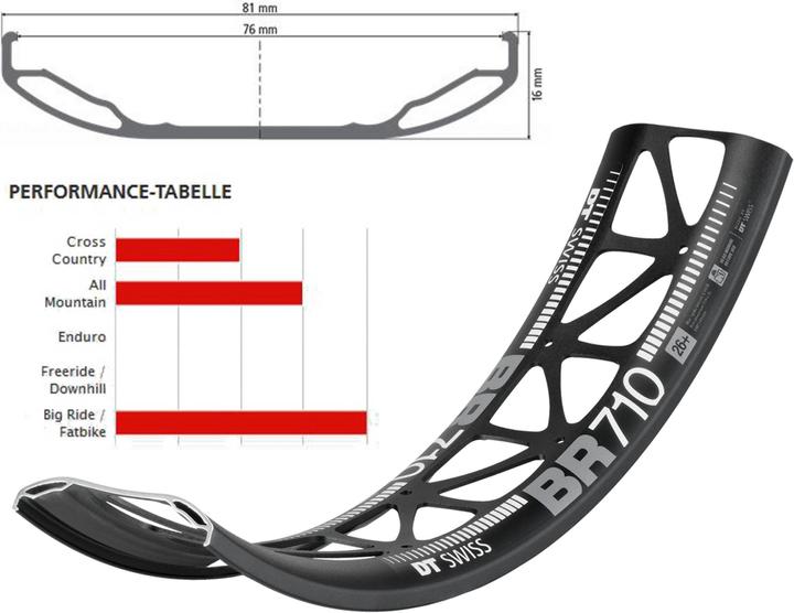 Immagine prodotto DT Swiss Cerchio BR 710 Big Ride 26 (26")