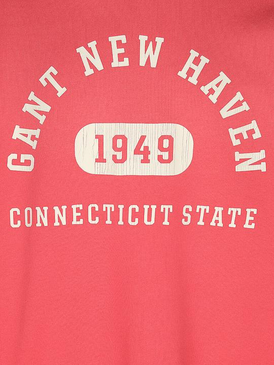 Actual product image GANT 2067038 (M)