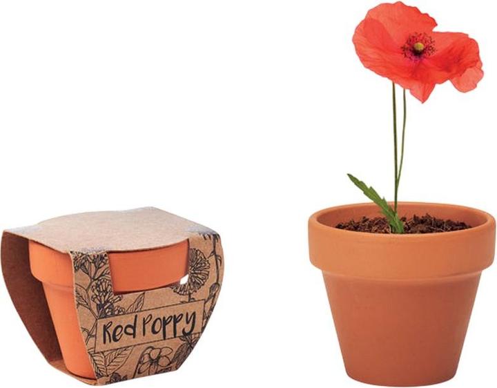 Produktbild MidOcean Blumentopf Red Poppy (6 x 5.50 x 5 cm)