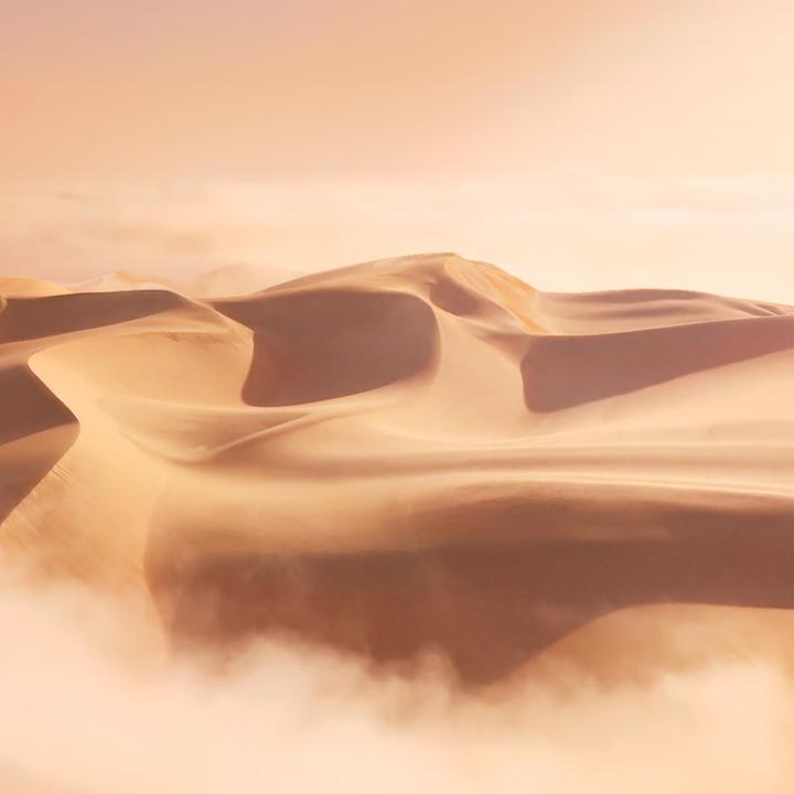 Produktbild Estée Lauder Luxury Fragrance Blushing Sands (Eau de Parfum, 100 ml)