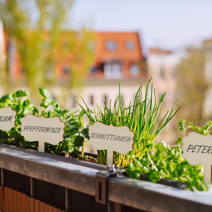 Produktbild Relaxdays 100x Pflanzenstecker