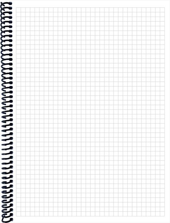 Actual product image Notebook DINA 4 (A4, Checked)