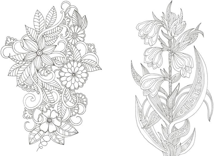 Immagine prodotto Colorful Mandala – Botanischer Garten