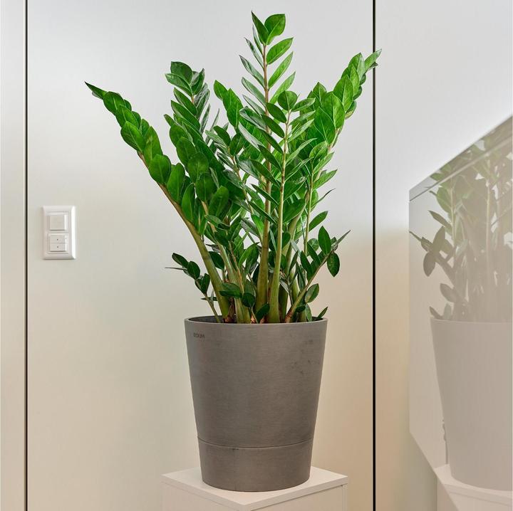 Produktbild Boum Pflanzentopf 15 l (32 cm)