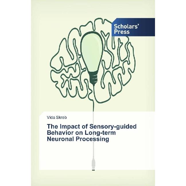 The Impact of Sensory-guided Behavior on Long-term Neuronal Processing, Fachbücher von Vida Skreb