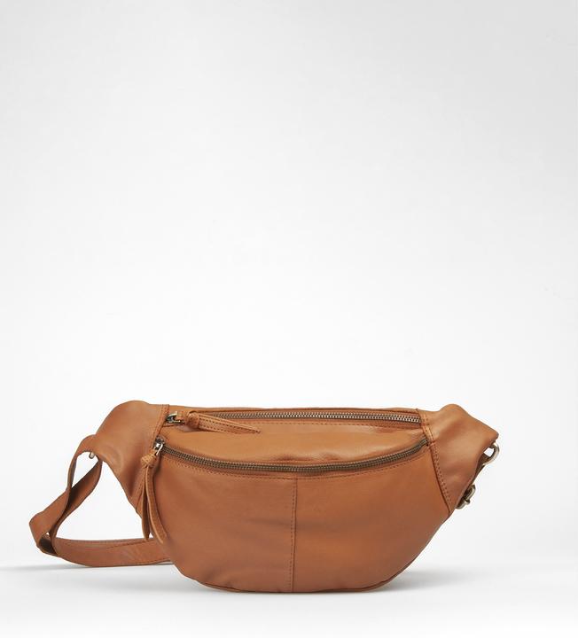 Actual product image Treats Aya Common