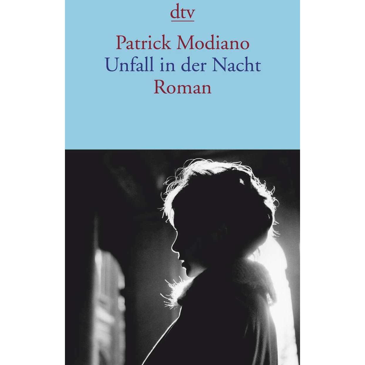 Unfall in der Nacht, Belletristik von Elisabeth Edl, Patrick Modiano