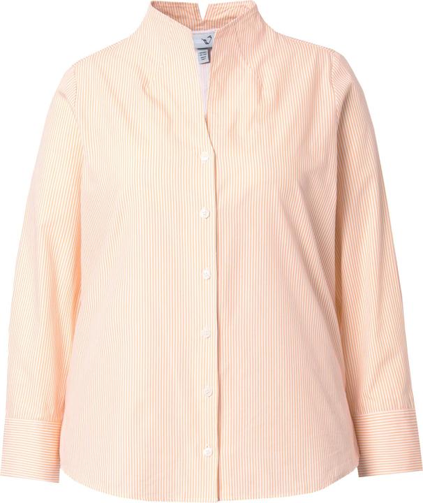 Apricot