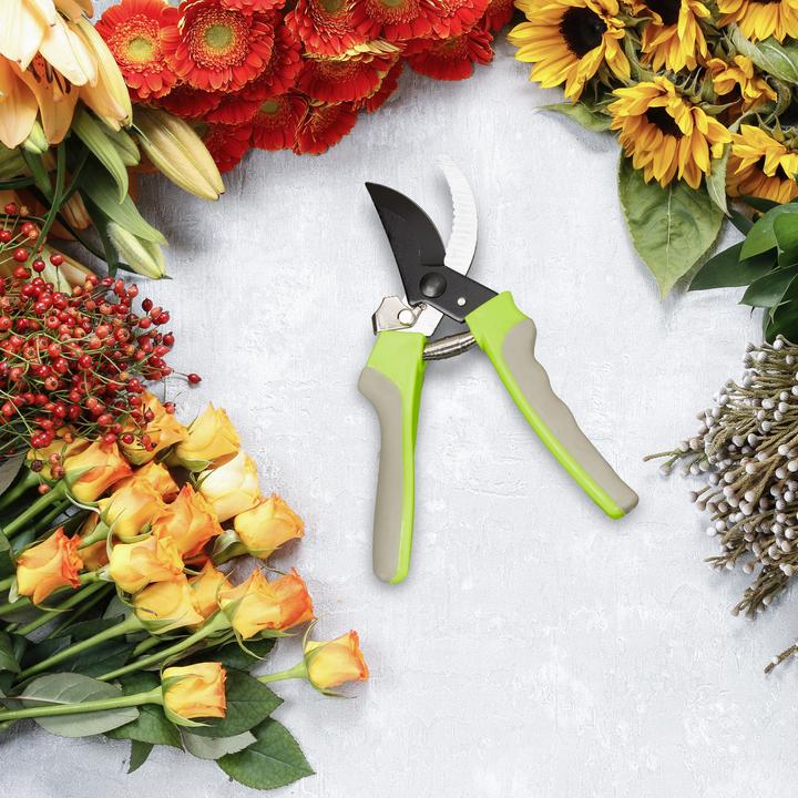 Image du produit Relaxdays Sécateur de jardin en acier