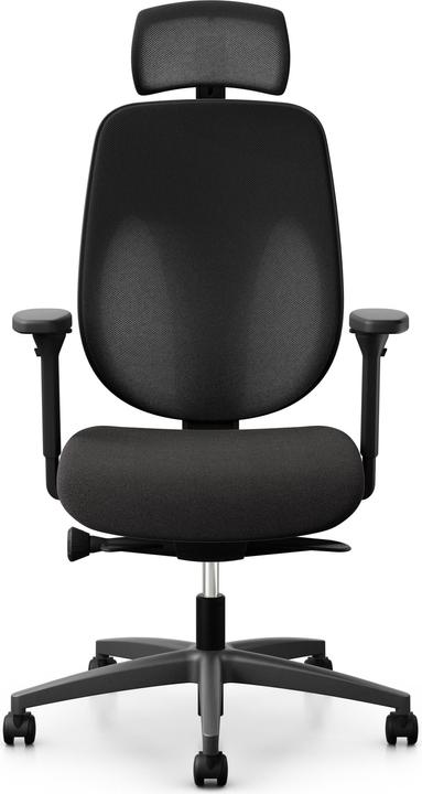 Giroflex 353 Swivel chair
