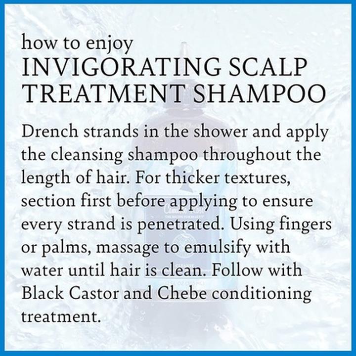 Image du produit Camille Rose Shampooing Chebe à l'huile de castor noire 355 ml (355 ml)