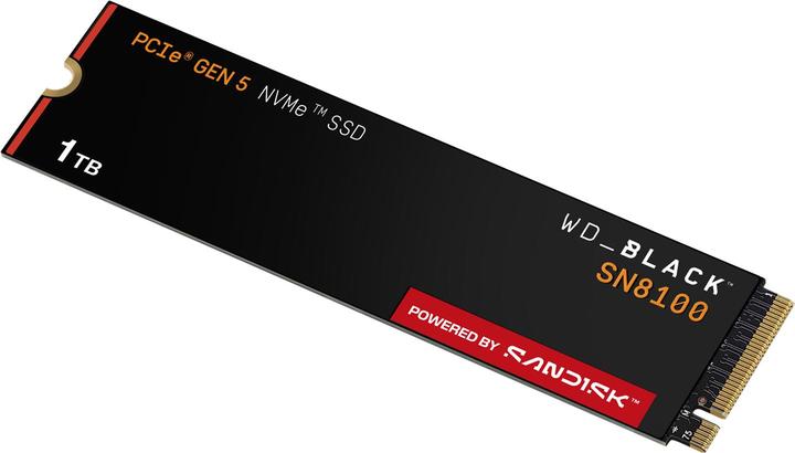 Actual product image WD Black SN8100 powered by SANDISK (1000 GB, M.2 2280)