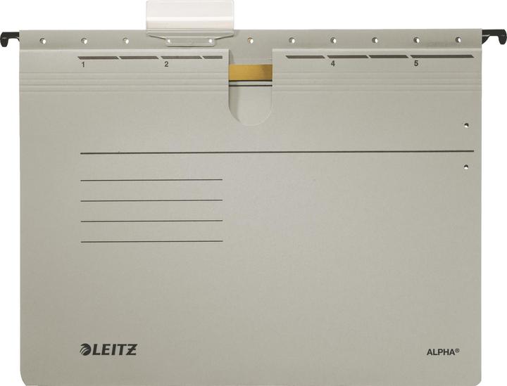 Leitz ALPHA Hängehefter, A4, kaufmännische Heftung, grau (A4, 1 x)