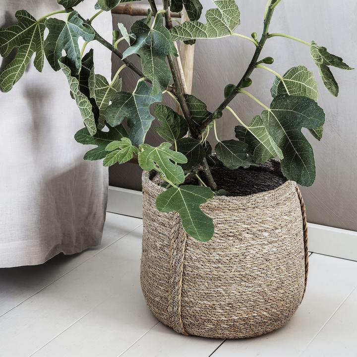 Actual product image House Doctor Plant (2 x, 21 x 26 x 26 cm)