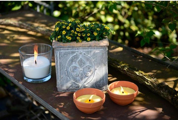 Produktbild müller Kerzen Gartenkerze Citronella in Tonschale (1 Stk.)