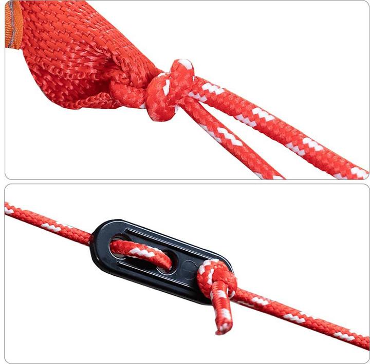 Image du produit vidaXL Lysistrata (5.50 kg, 4 personnes)