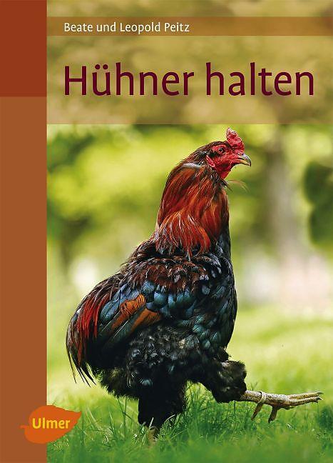 Mantenere i polli (Tedesco, Frusta beate, Peitz Leopoldo)