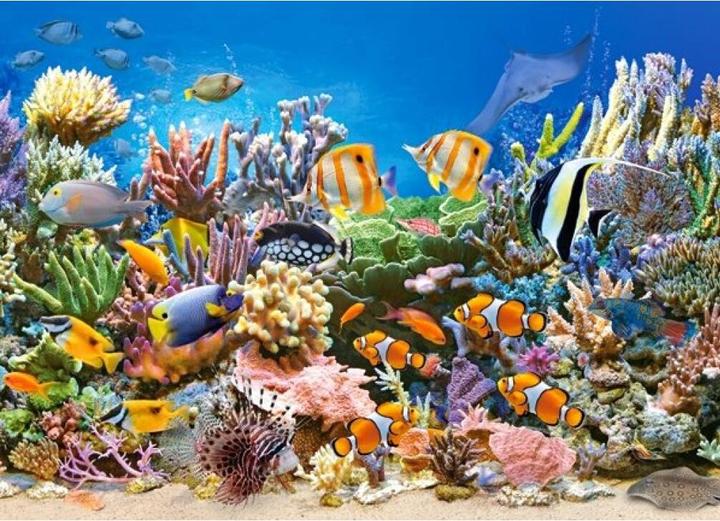 Produktbild Castorland Colours of the Ocean,Puzzle 260 Teile (260 Teile)