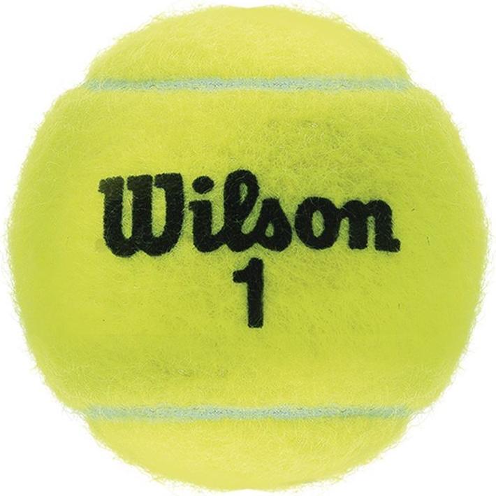 Produktbild Wilson Championship