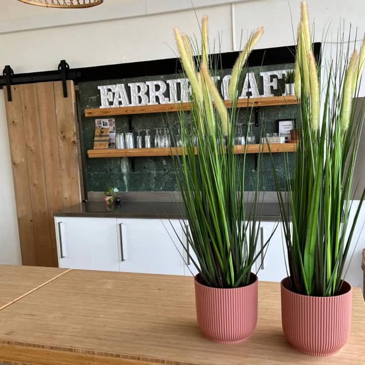 Image du produit Emerald Plante artificielle (120 cm)