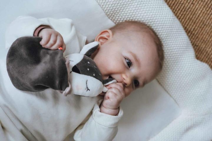 Actual product image Kikadu Bite ring fawn (3 Months)