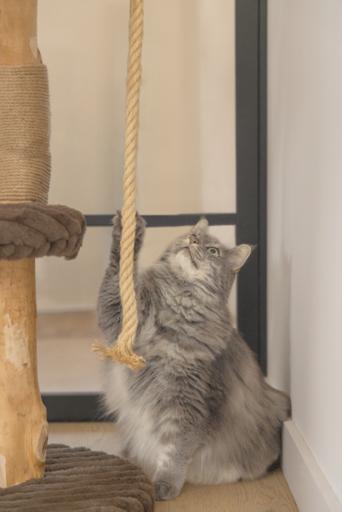 Produktbild Designed by Lotte Kratzmöbel Reya (Braun)