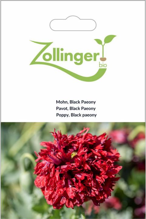 Produktbild Zollinger Bio Mohn, Black Paeony (einjährig)