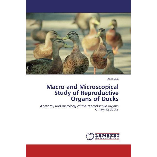 Thumbnail - Macro and Microscopical Study of Reproductive Organs of Ducks, Fachbücher von Anil Deka