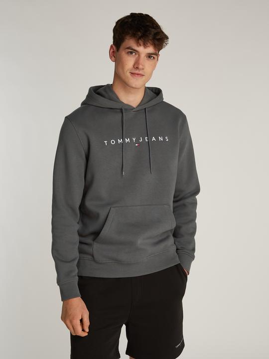 Image du produit Tommy Jeans Tjm Reg Linear Logo Hoodie Ext (L)