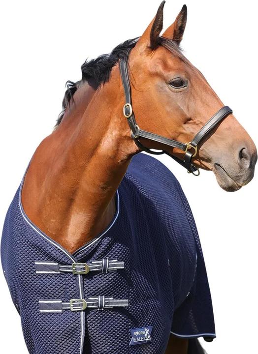 Produktbild Storm X Empra Standard 3D AirFlex Pferdedecke (175 cm)