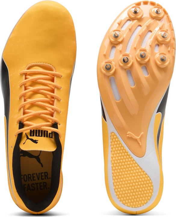 Produktbild Puma evoSPEED Sprint 14.5 (47)