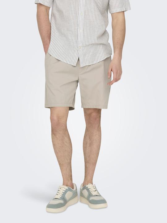 Actual product image Only & Sons Regular fit shorts Shorts (S)
