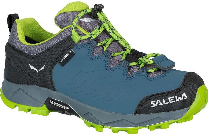Produktbild Salewa Kinder MTN Trainer WP Schuhe (31)