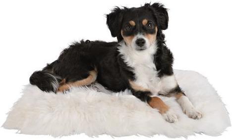 Trixie Sheepskin cushion (Cat)