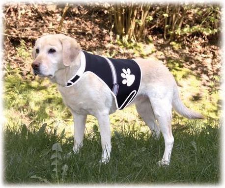 Produktbild Trixie Flash Sicherheitsweste USB (L, Hundeweste)