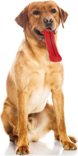 Actual product image Swisspet Fetch toy tongue 25.4 cm (Food balls)