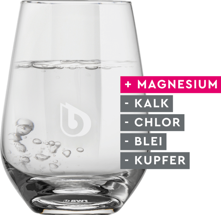 Actual product image BWT Magnesium Longlife (6 x)