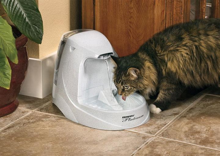 Image du produit Drinkwell Platinum (500 cl)