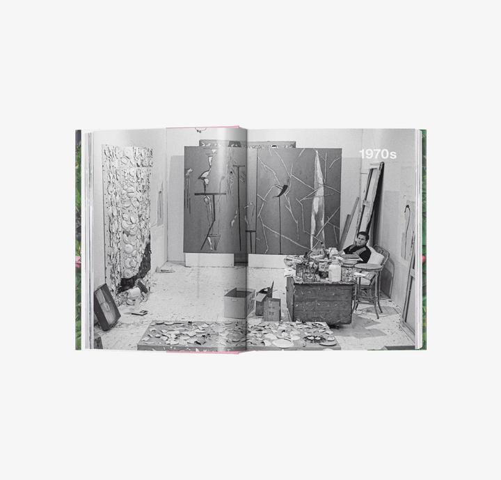 Produktbild fp-Julian Schnabel (Deutsch, Französisch, Englisch, Julian Schnabel, Louise Kugelberg, Hans Werner Holzwarth, 2024)