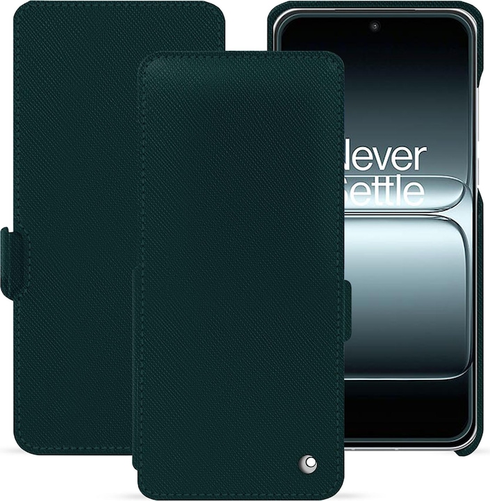 Vert séduisant ( Pantone #1d3c34 )