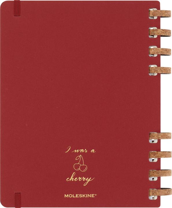 Produktbild Moleskine Life (19 x 25 cm, 1 Woche / 1 Seite)