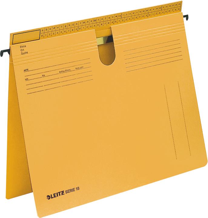 Immagine prodotto Leitz Fascicolo appeso serie 18 (A4, 1 x)