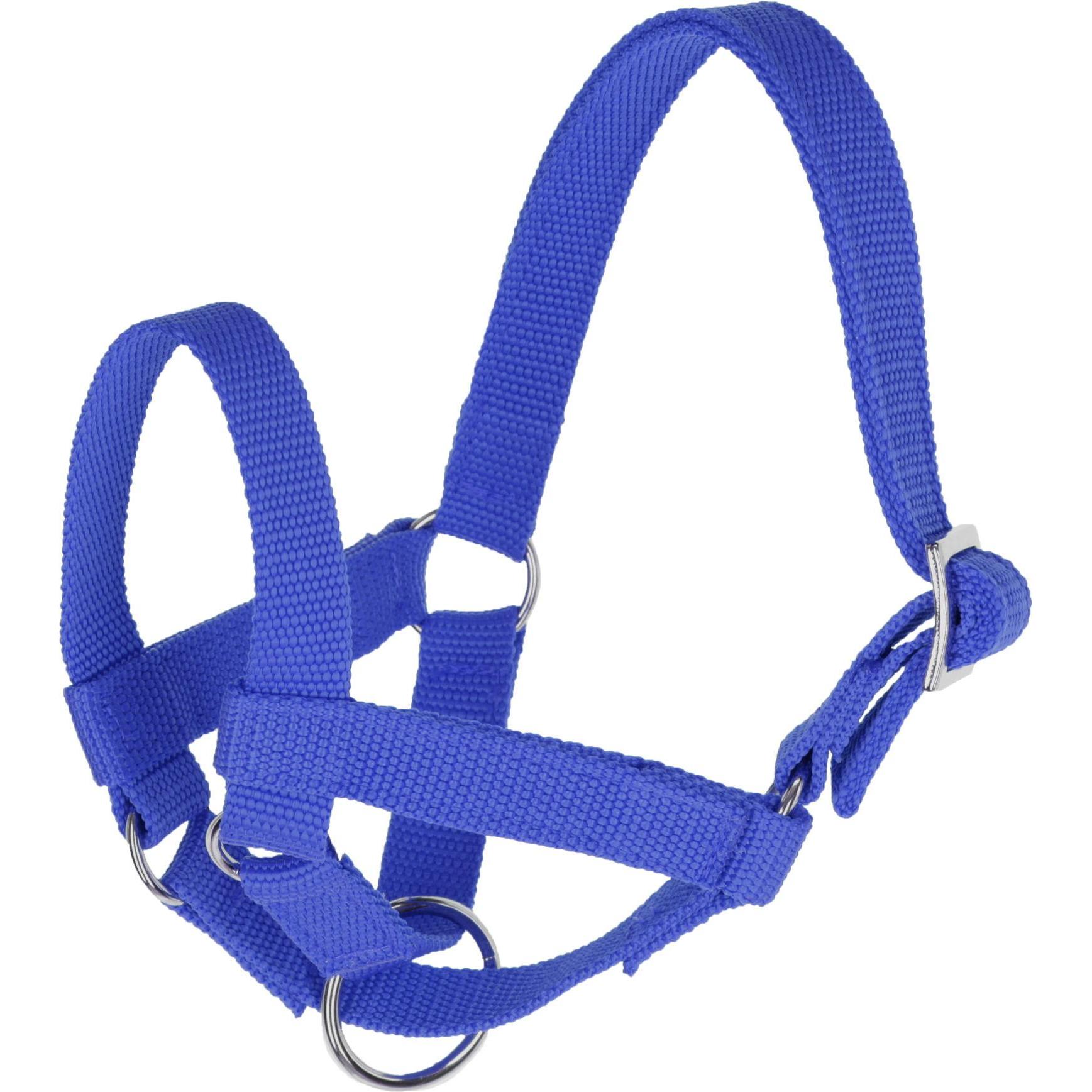 Kerbl Halfter für Lamas, Grösse 50 blau (33648512)