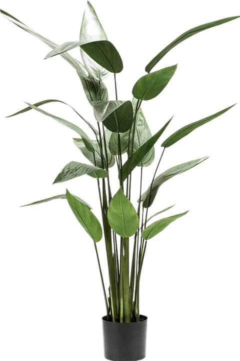 Image du produit Emerald Bara (125 cm)