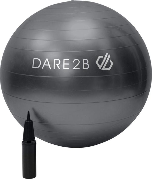 Actual product image Dare2b Exercise ball (55 cm)