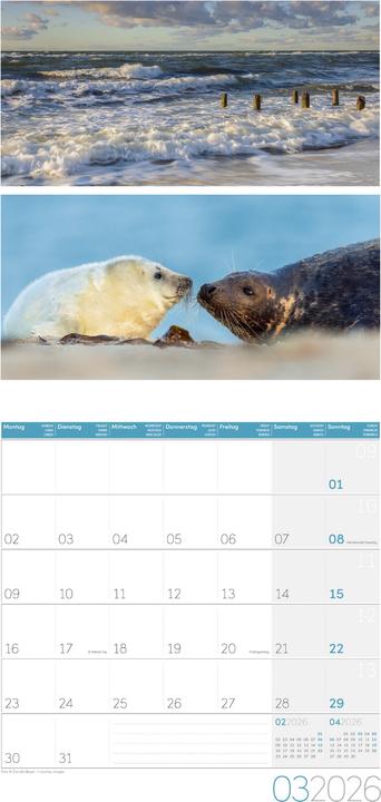 Image du produit Colours of Nature Kalender 2026 - 30x30 (30 x 30 cm, Couverture rigide, Français, Anglais, Italien)