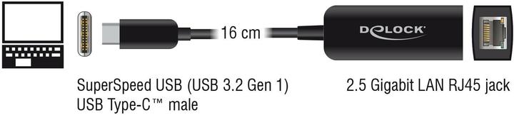 Actual product image Delock USB C – RJ45 (USB-C, RJ45 2.5 Gigabit Ethernet (1x))