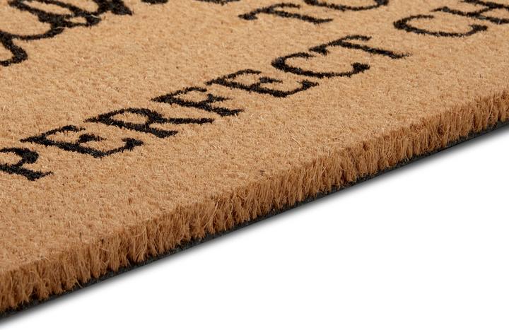 Image du produit Hanse Home Kokos Perfect Chaos (45 x 70 cm)