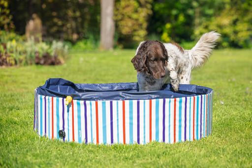 Image du produit Beeztees Hundepool Doggy Dip (Piscine pour chiens)