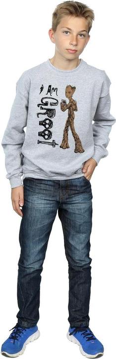 Produktbild Avengers Infinity War I Am Teenage Groot Sweatshirt Jungen (152, 158)